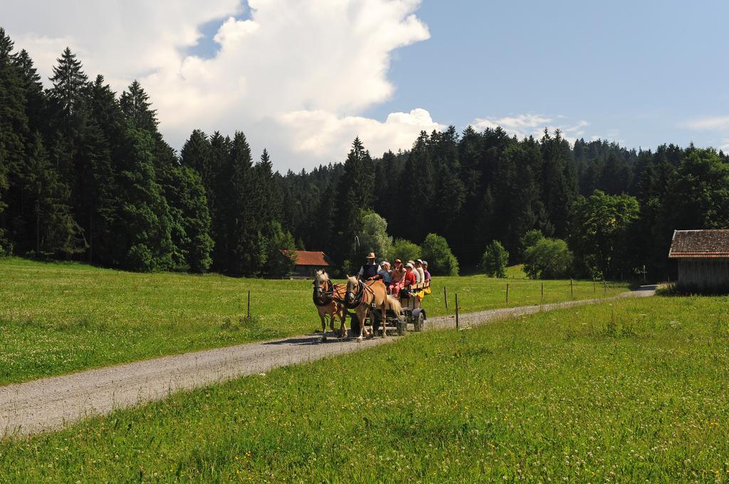 Hotel Bergblick Scheidegg Kültér fotó